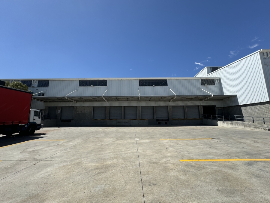 To Let commercial Property for Rent in Montague Gardens Western Cape